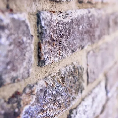 Ca Biennale, Scoprire La Nascosta! 公寓 威尼斯